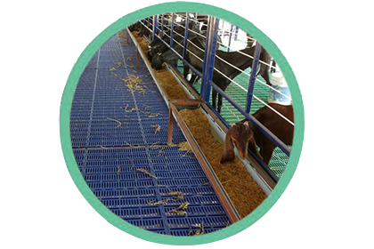 Plastic Slat Floor