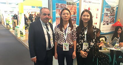 Exhibition & Show