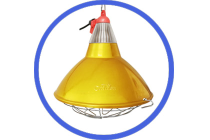 Infrared Heating Lamp