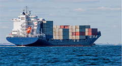 Brazil’s pigmeat exports to top 1 million tonnes i..
