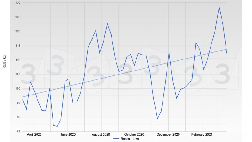 A look at Russia's pig market: ASF and future expo..